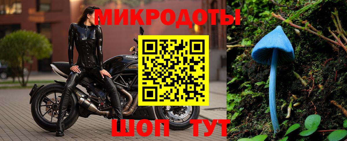 Луга  Галлюциногенные грибы Cubensis  Вход с VPN 