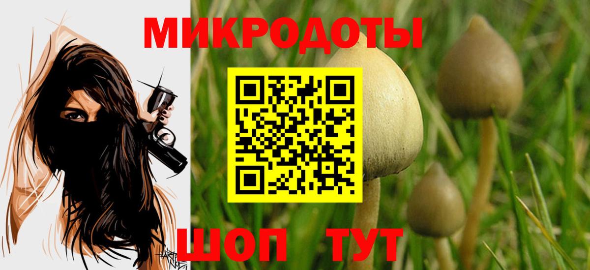 Псилоцибиновые грибы Psilocybe Луга
